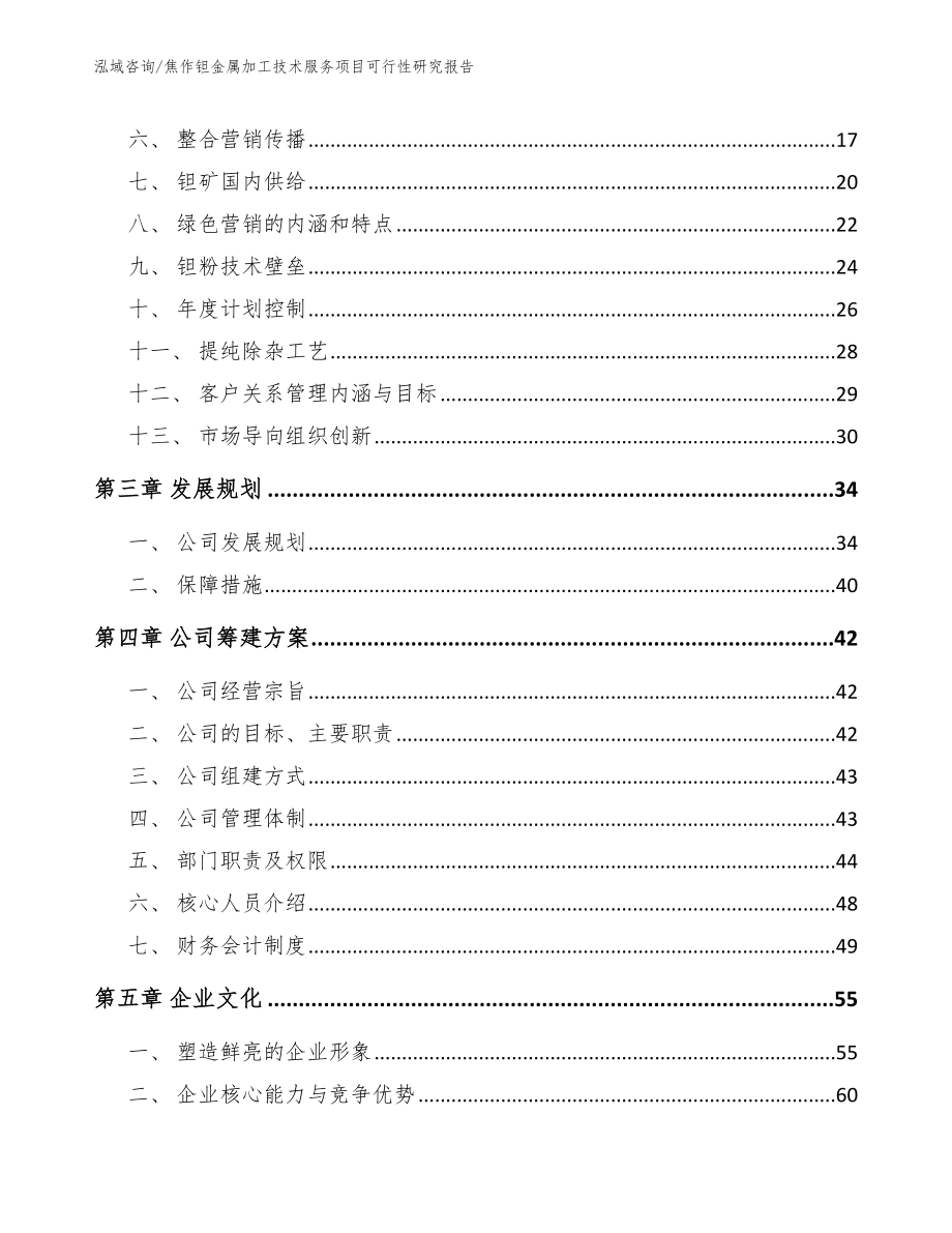 焦作钽金属加工技术服务项目可行性研究报告（范文模板）_第4页