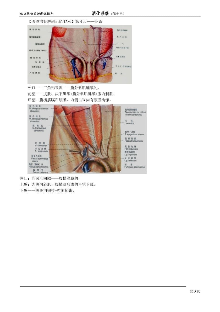 消化系统xhxt_jy1001.doc_第5页