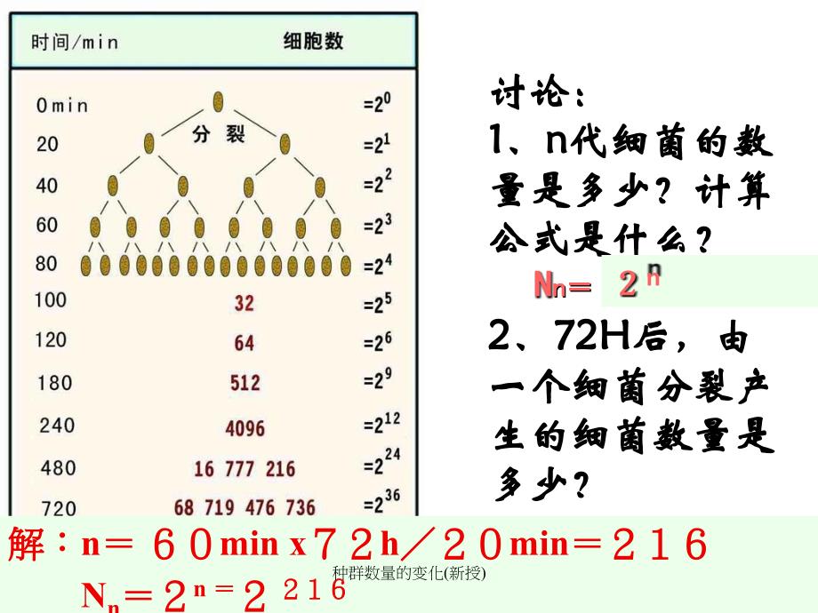 种群数量的变化新授课件_第3页