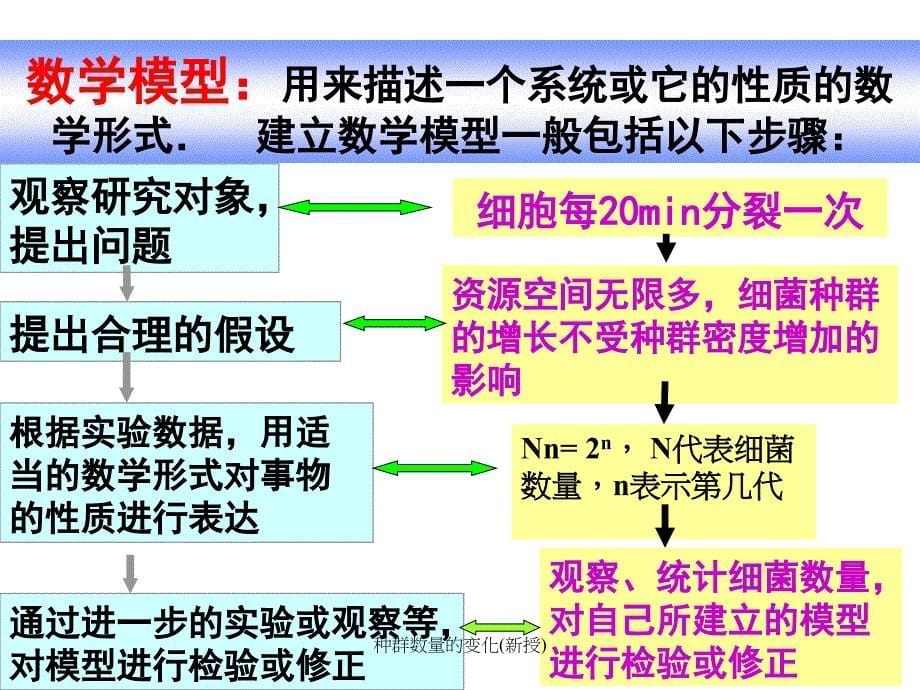 种群数量的变化新授课件_第5页