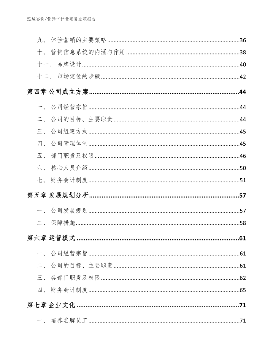 黄骅市计量项目立项报告【模板范文】_第4页