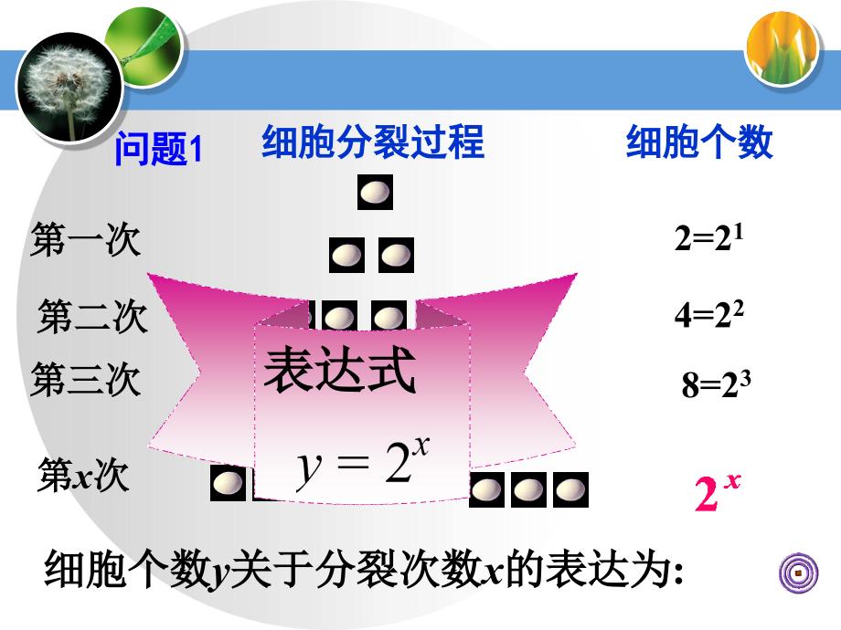 212指数函数及性质（一）_第3页