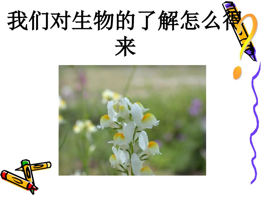 《调查我们身边的生物》_第2页