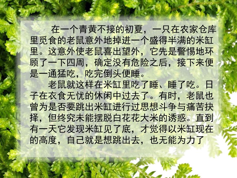 老鼠与米缸故事的启发.ppt_第3页