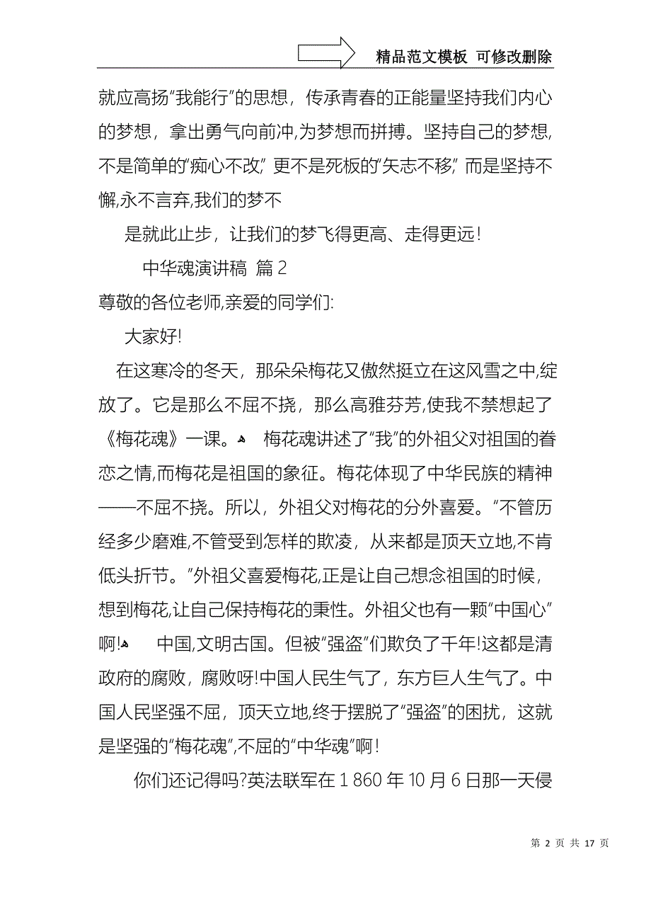 中华魂演讲稿模板集锦9篇_第2页