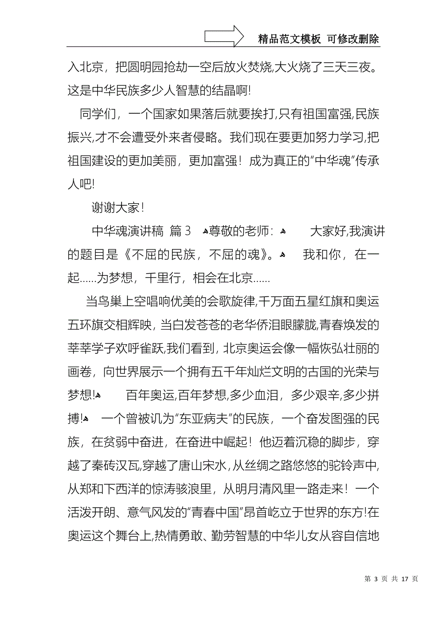 中华魂演讲稿模板集锦9篇_第3页