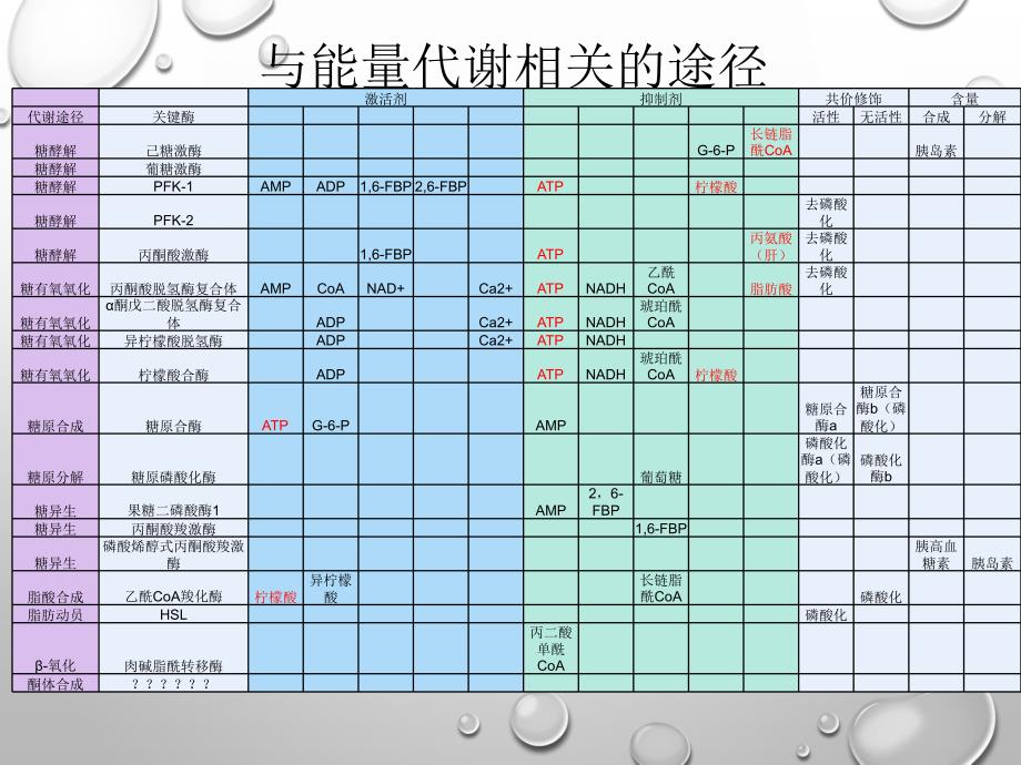 生物化学：物质代谢总结_第2页