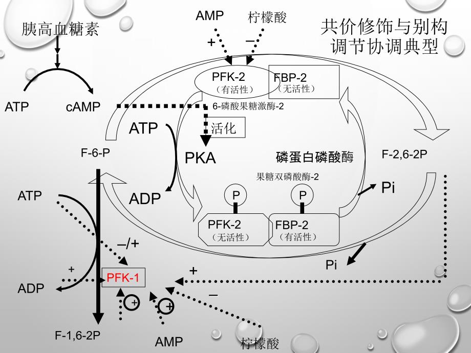 生物化学：物质代谢总结_第4页