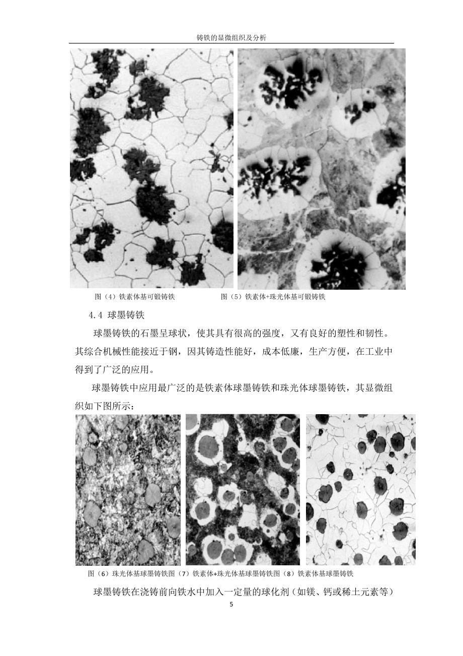 铸铁的显微组织及分析.doc_第5页