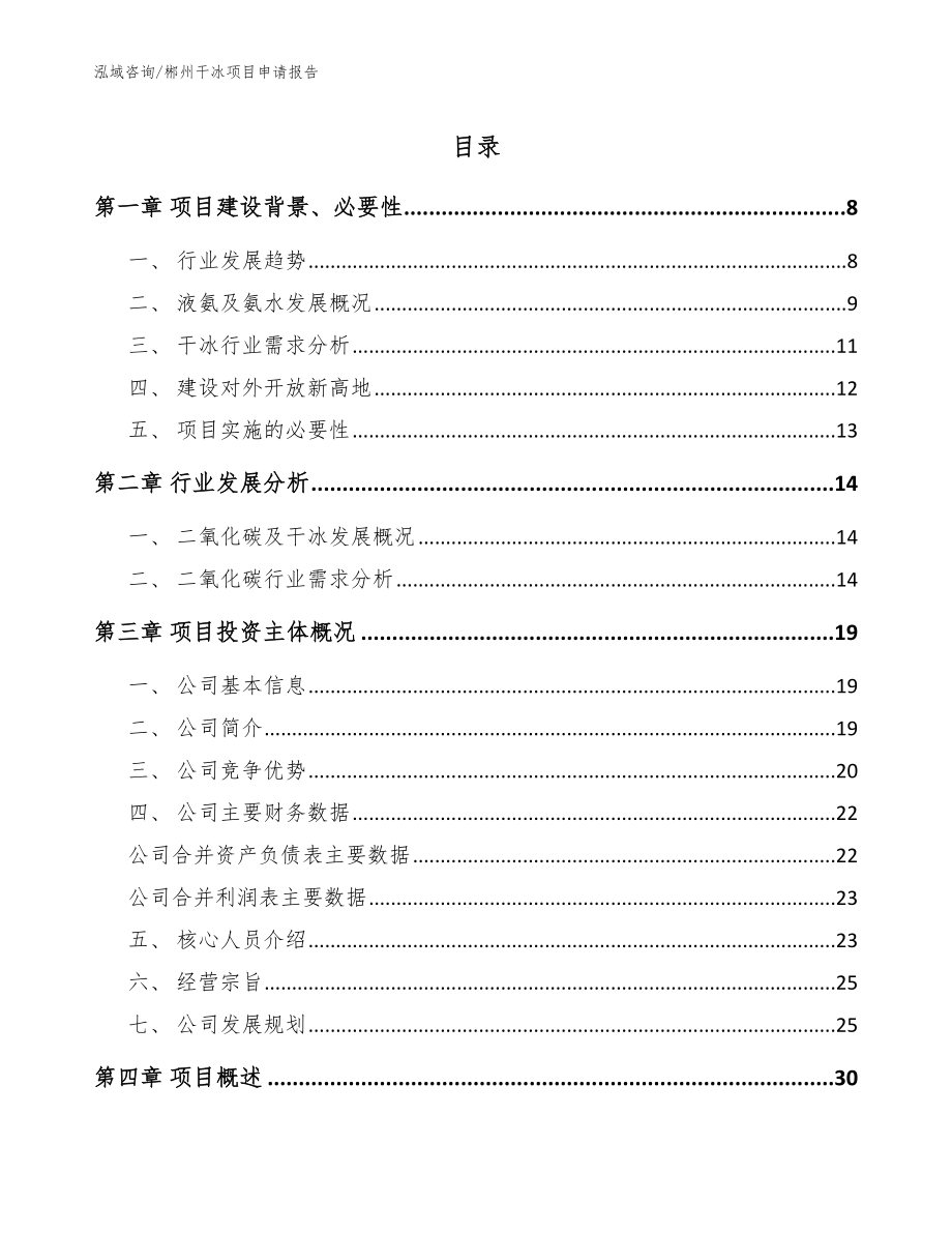 郴州干冰项目申请报告范文参考_第1页