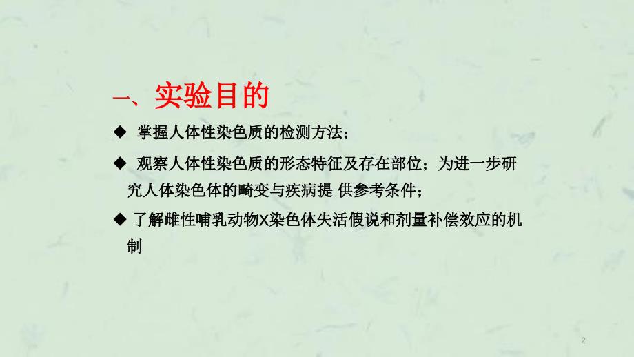 口腔上皮细胞巴氏小体的观察课件_第2页