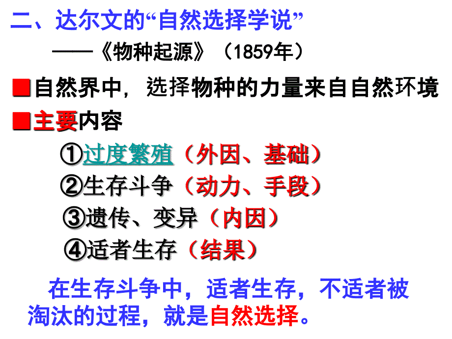 《进化复习》PPT课件_第4页