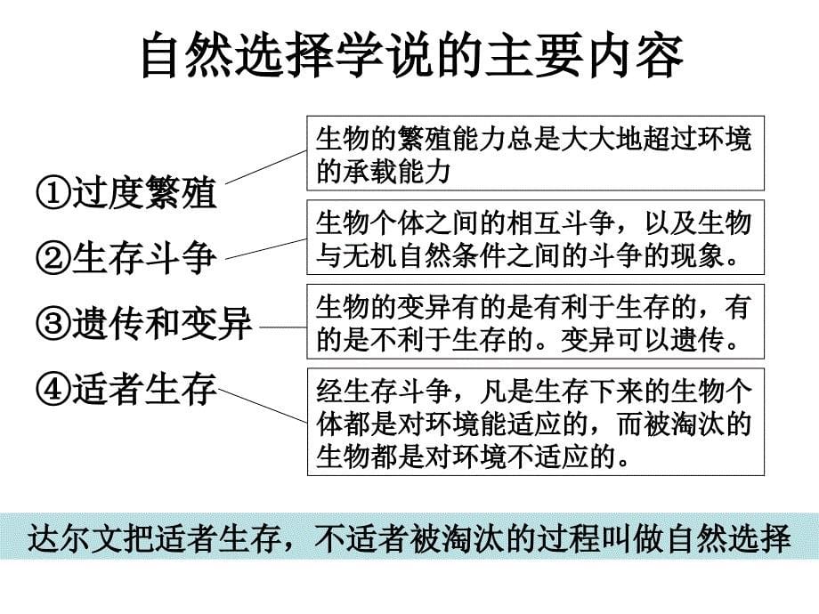 《进化复习》PPT课件_第5页