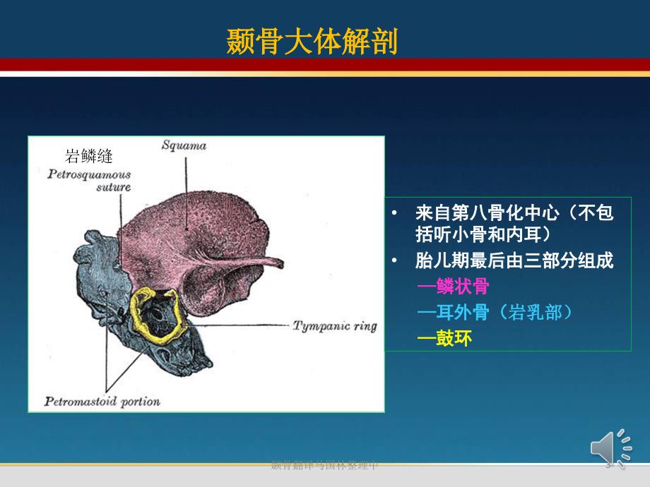 颞骨翻译马国林整理中课件_第3页