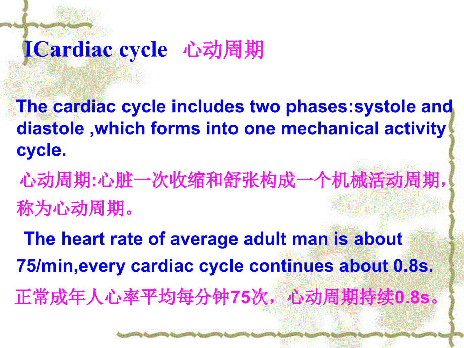 血液循环精品PPT课件2_第3页