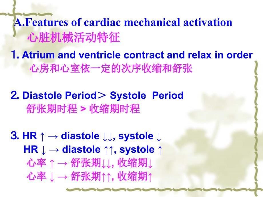 血液循环精品PPT课件2_第5页