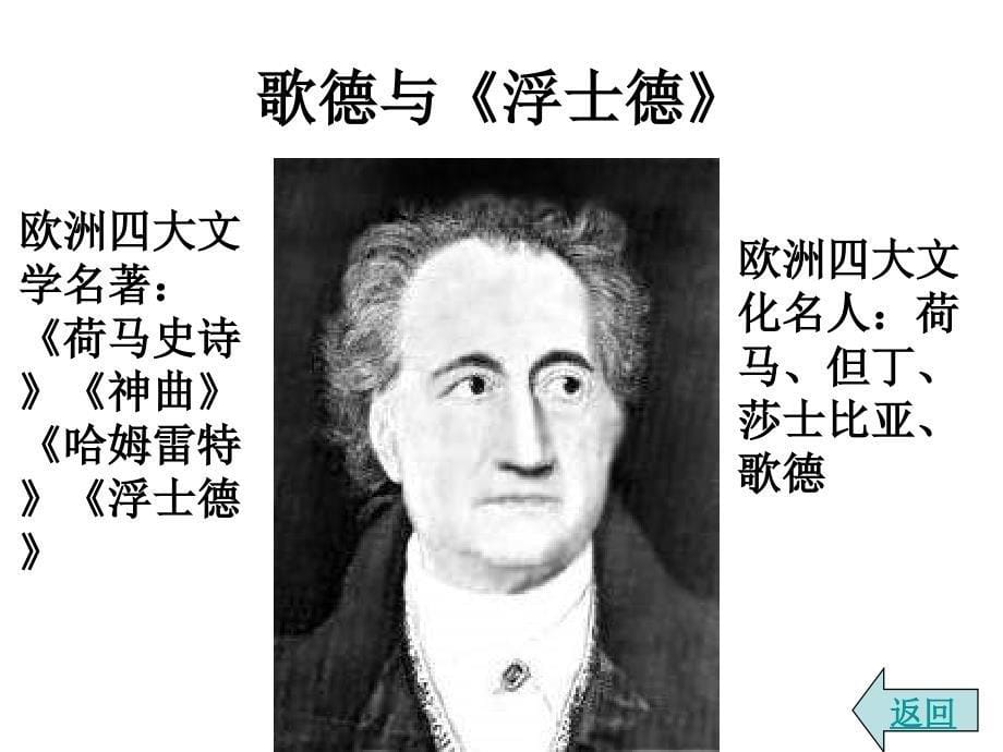 九年级历史近代世界文学_第5页