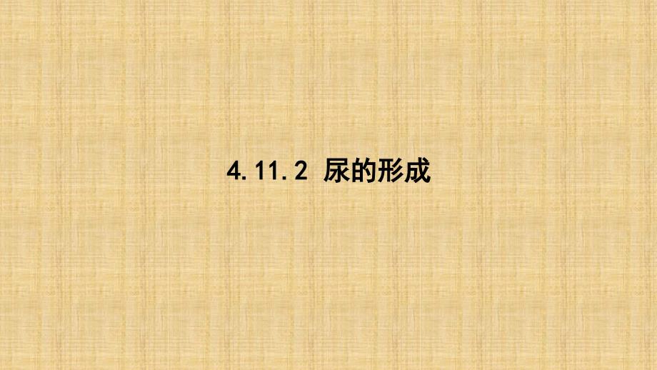 初中七年级生物下册4112尿的形成名师优质课件新版北师大版_第1页