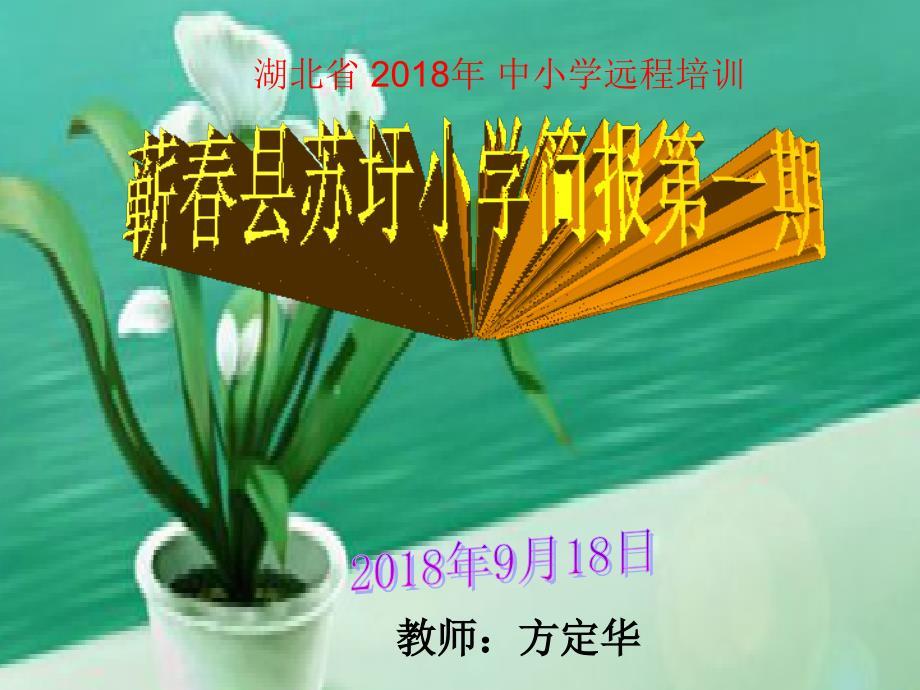 远程培训班级简报第一期.ppt