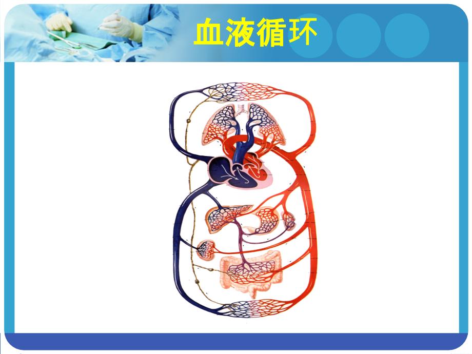 社区高血压健康教育_第3页