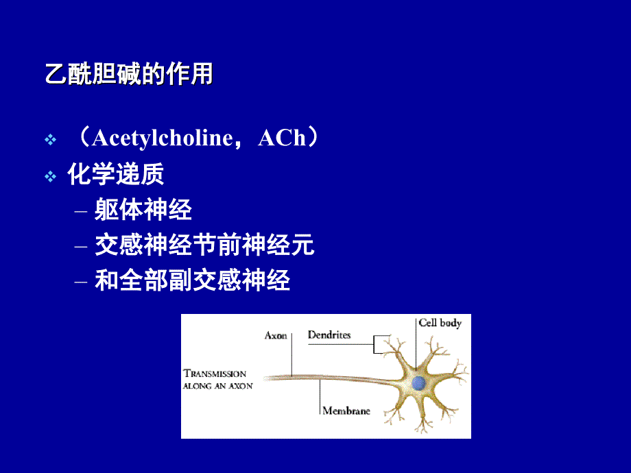 《外周神经系统用药》PPT课件.ppt_第4页