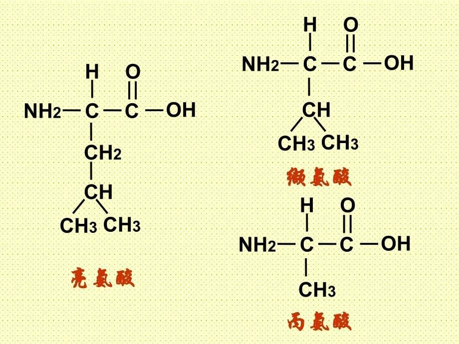 生命活动的主要承担者蛋白质公开课获奖课件_第5页