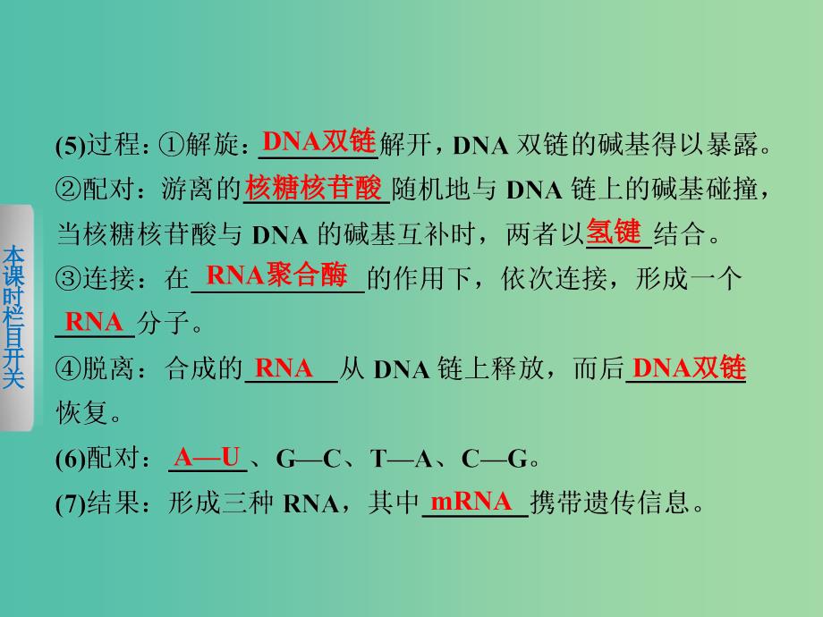 高中生物 3.2.2 遗传信息的表达（Ⅱ）课件 北师大版必修2.ppt_第3页