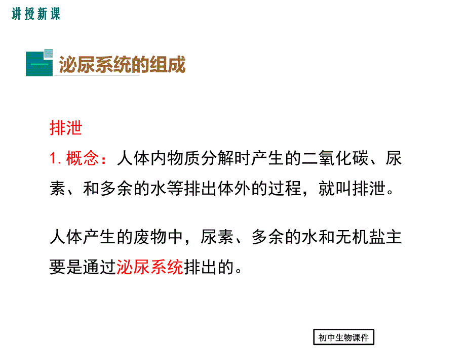 (人教版)七年级生物下册：5-人体内废物的排出课件_第4页