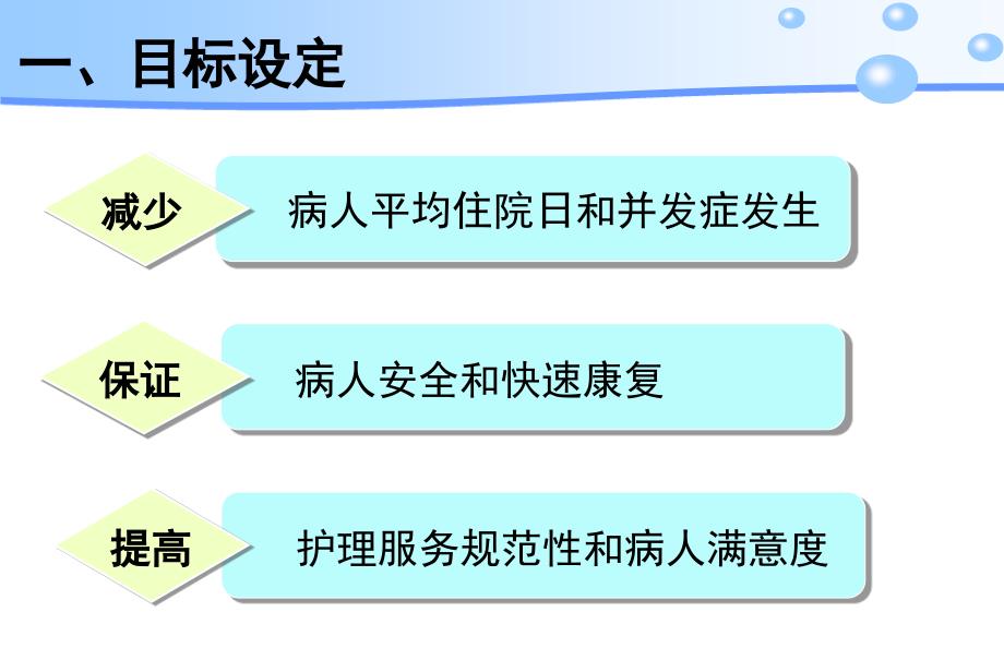 医院管理分享执行护理分级标准加速病人康复课件_第3页