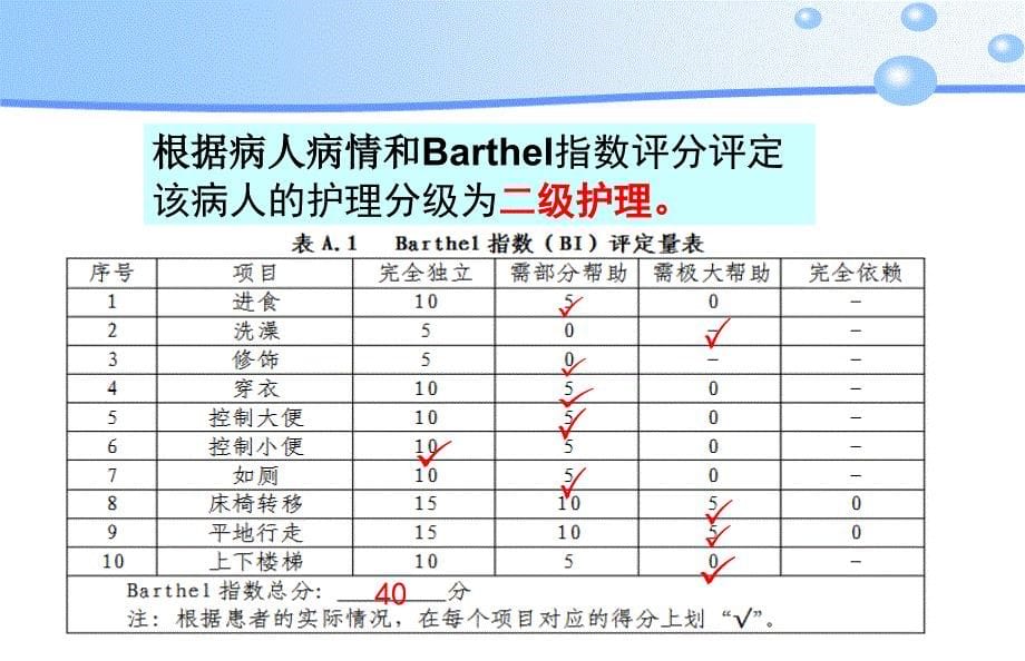 医院管理分享执行护理分级标准加速病人康复课件_第5页