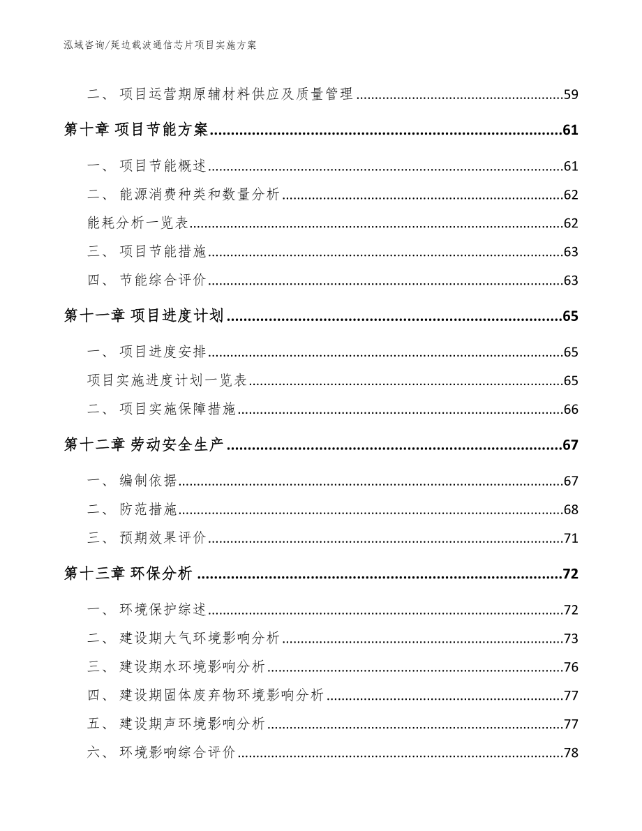 延边载波通信芯片项目实施方案_第3页