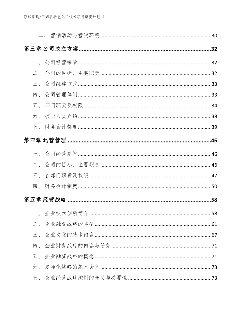 三都县特色化工技术项目融资计划书_第2页