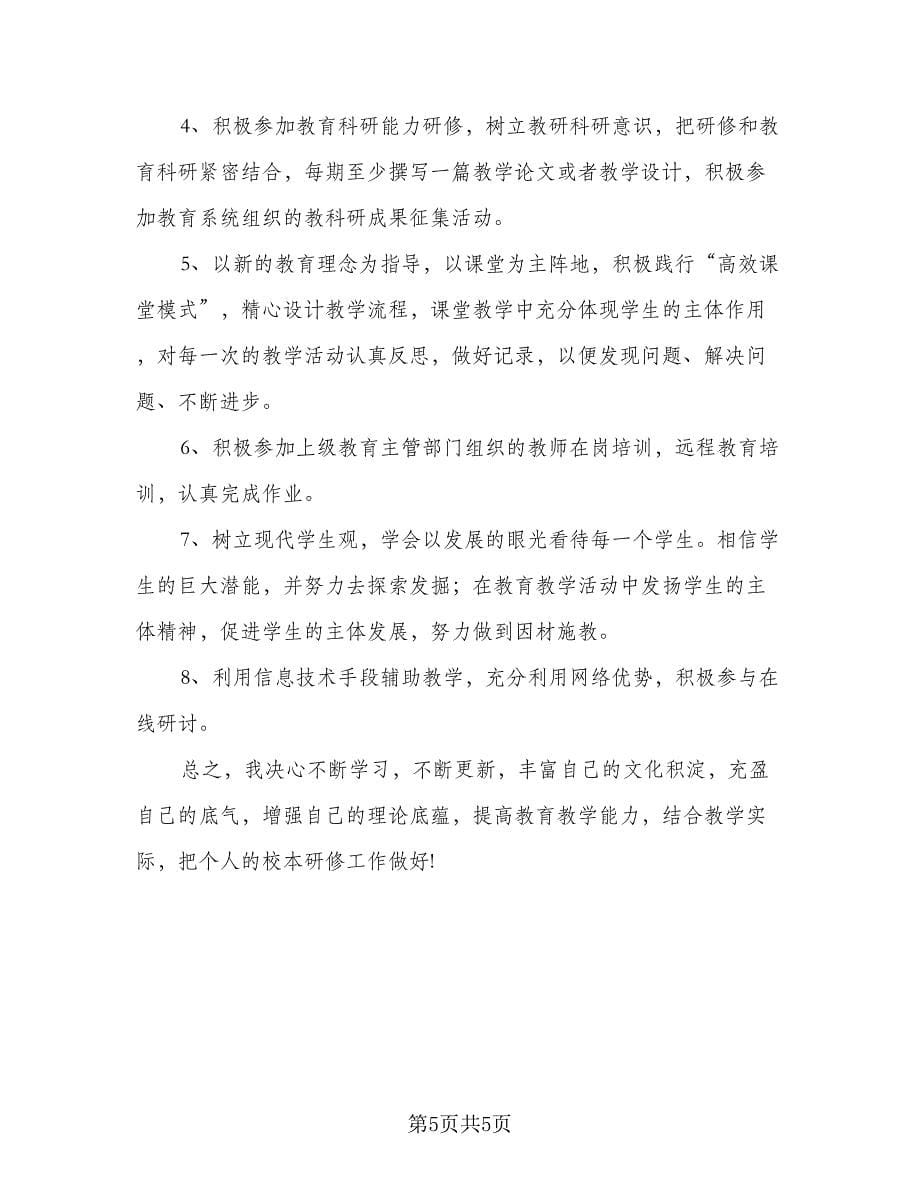 中小学教师信息技术研修计划参考样本（三篇）.doc_第5页