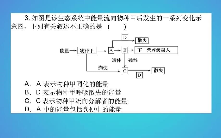 高中生物第5章生态系统及其稳定性52生态系统的能量流动习题课件新人教版必修30525119_第5页