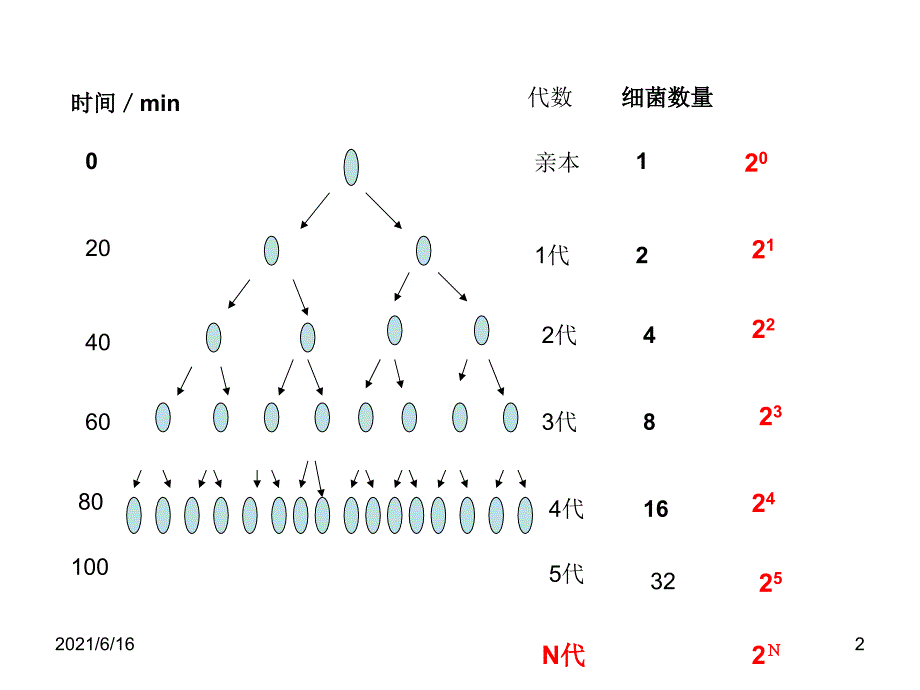 种群数量的变化PPT课件_第2页