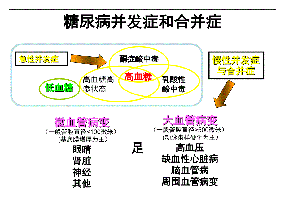 丁大糖尿病医院：糖尿病急性并发症概要_第3页