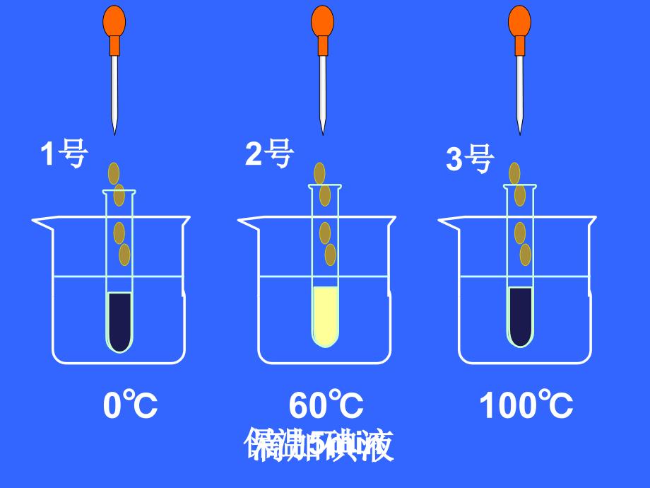 探究温度对酶活性的影响_第3页