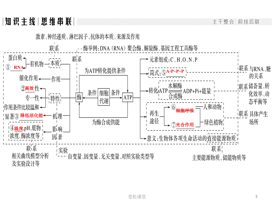 酶和ATP二轮复习一类教资_第3页