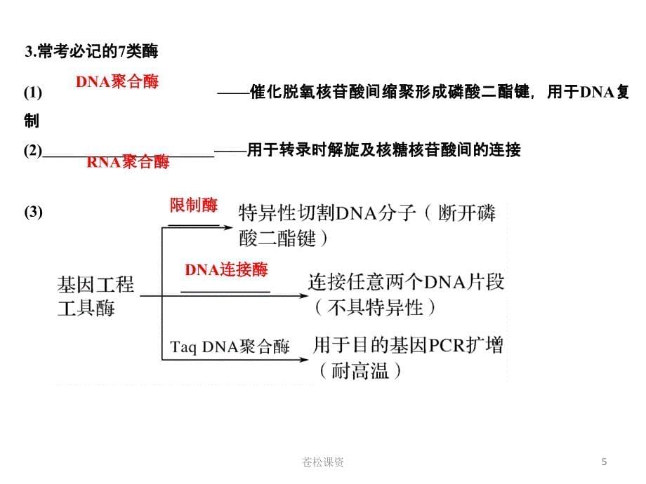 酶和ATP二轮复习一类教资_第5页