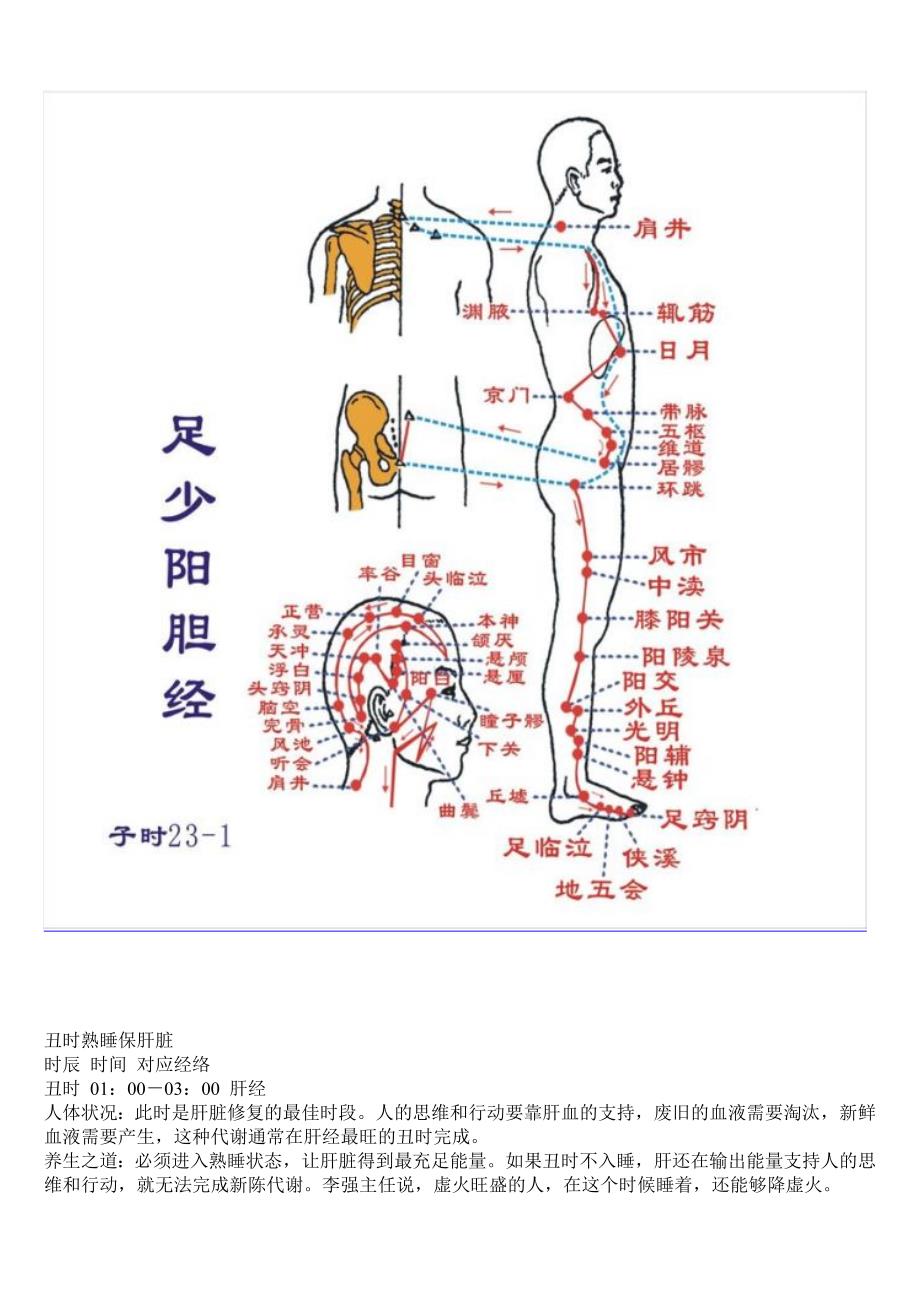 子午流注十二经脉活动时辰带图.doc_第3页