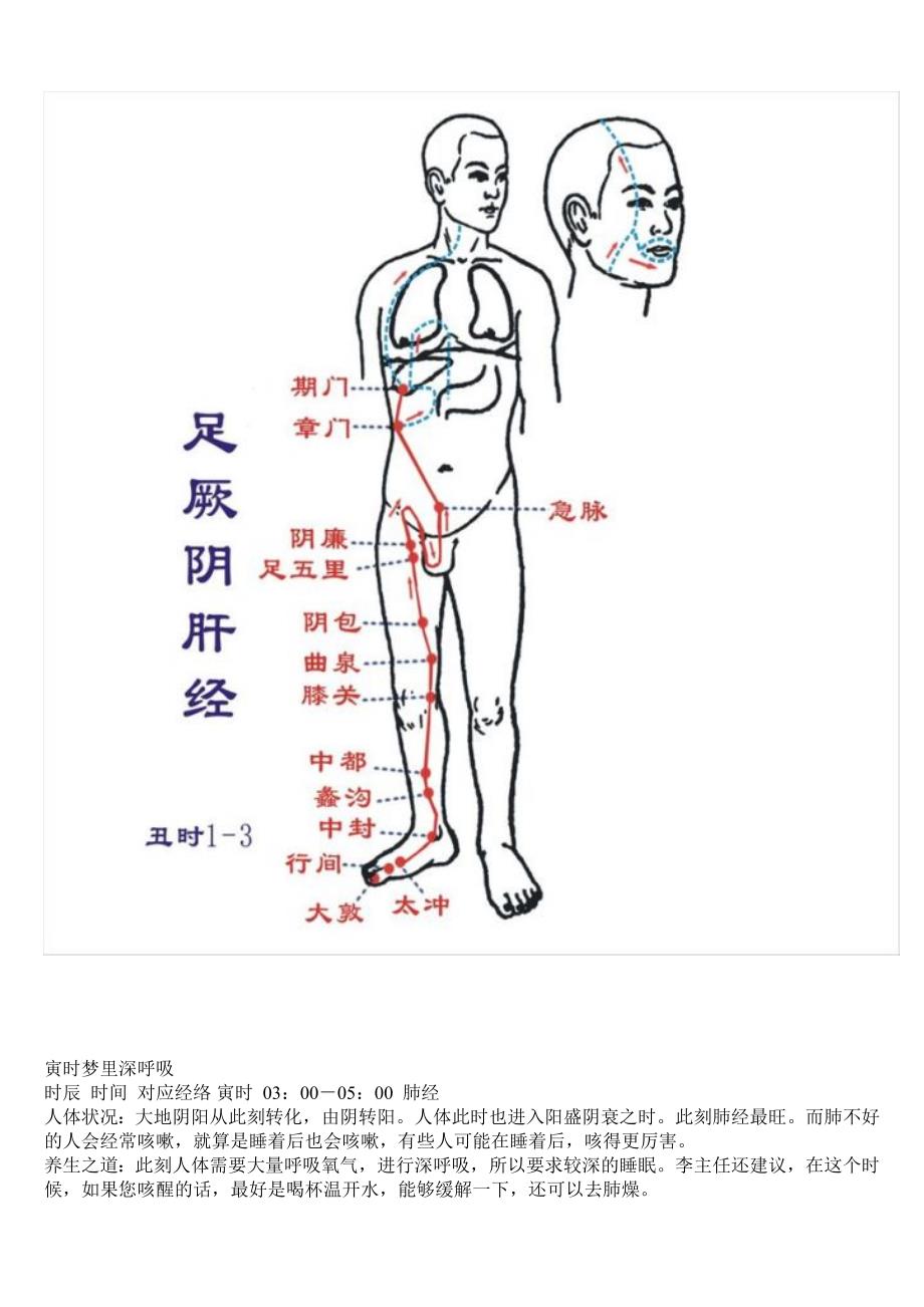 子午流注十二经脉活动时辰带图.doc_第4页