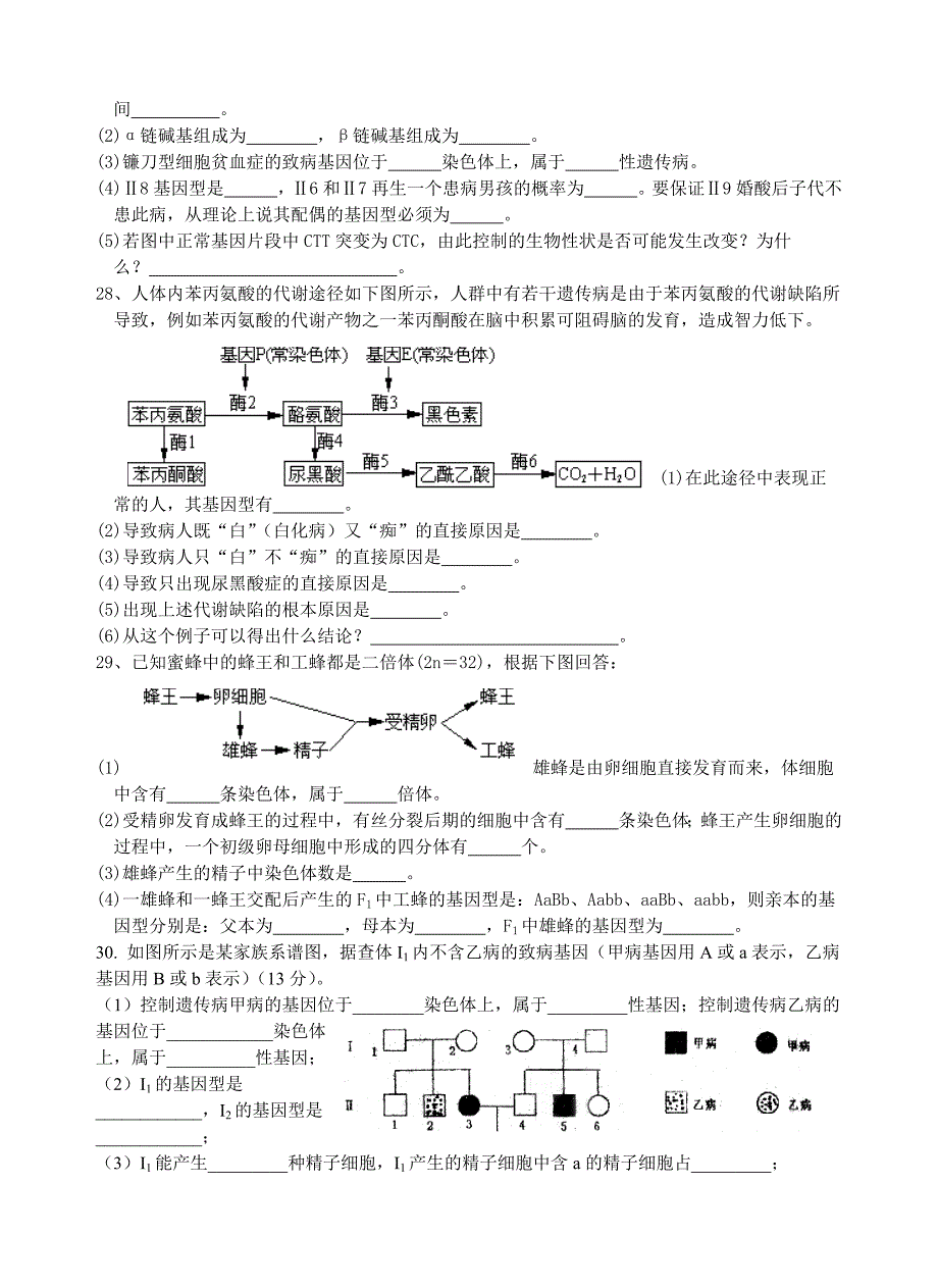 第五章基因突变及其他变异单元测试.doc_第4页