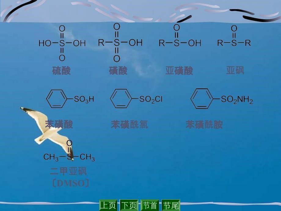 含硫磷和硅化合物ppt课件_第5页