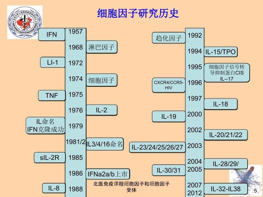 北医免疫课程细胞因子和细胞因子受体课件_第5页