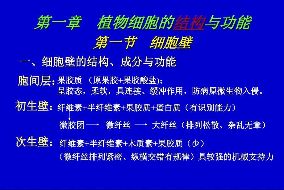 《植物生理学第一章》PPT课件.ppt_第5页