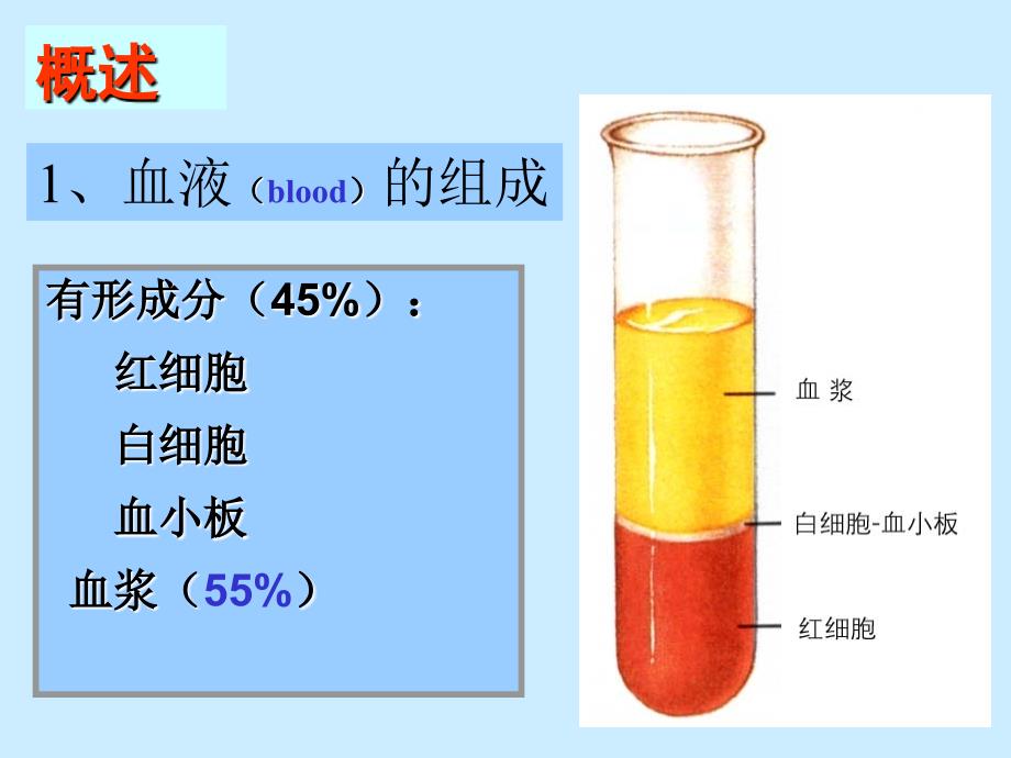 32血液祝彼得组织学与胚胎学组胚课件_第3页