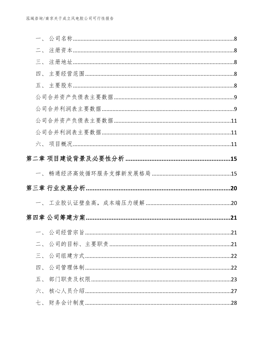 南京关于成立风电胶公司可行性报告_第3页