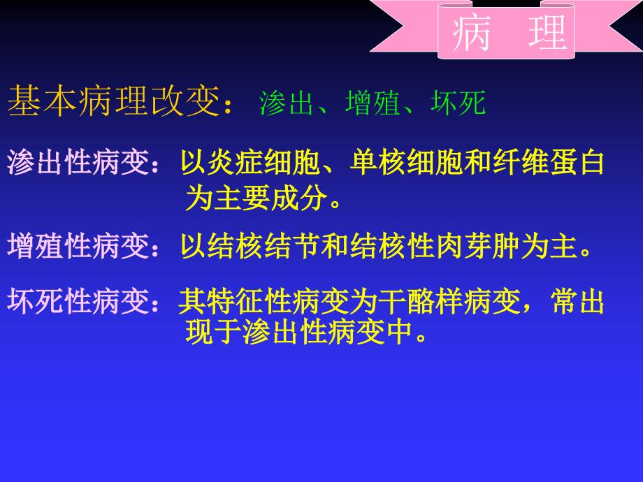 结核病各论PPT课件_第4页