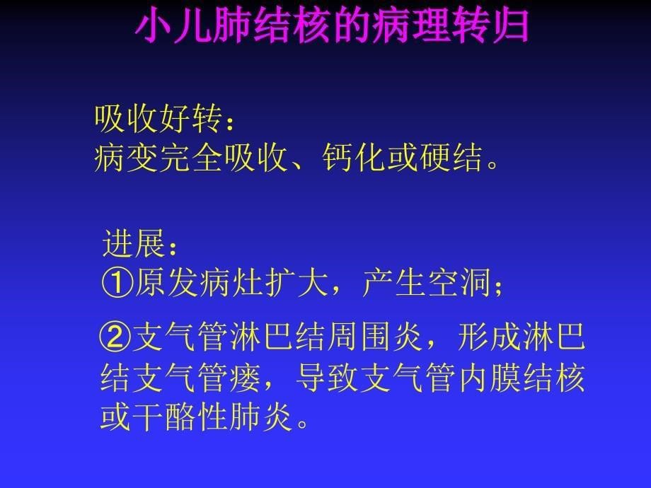 结核病各论PPT课件_第5页