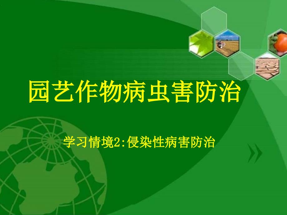 13蔬菜常见细菌性病害_第1页